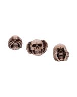 Three Wise Skulls 7.6cm Skulls Gifts Under £100
