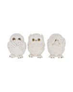 Three Wise Owls 8cm Owls Popular Products - Light