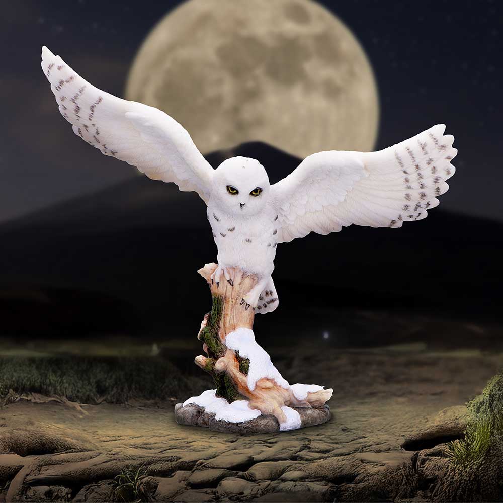 Snowfall - Majestic owl in winter scene