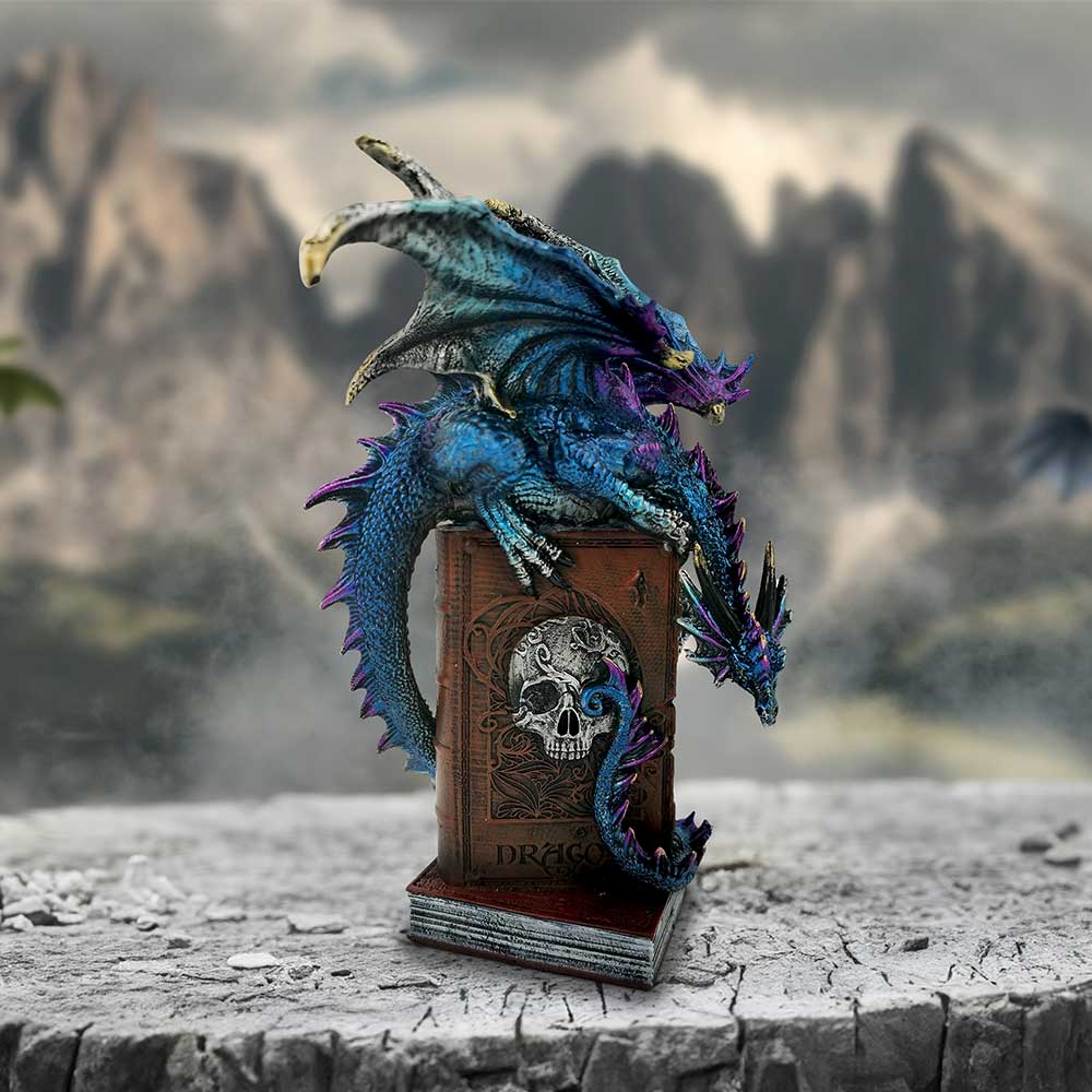 A Tale of Dragons Skull Book Figurine 22cm