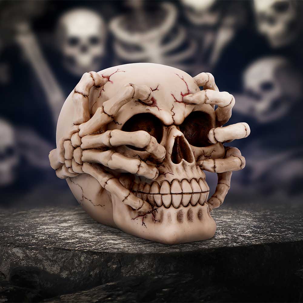 Cracked Decorative Resin Skull