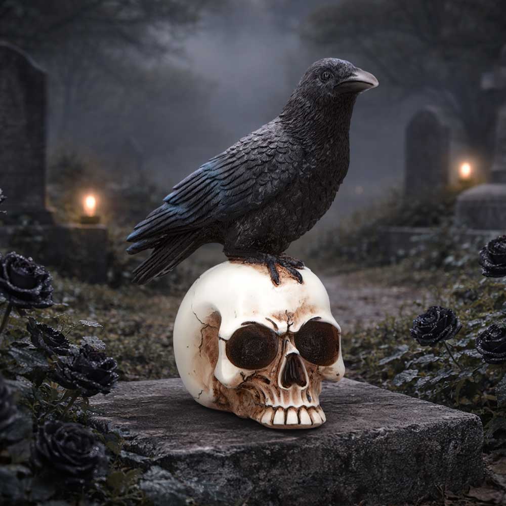 Raven Standing on Skull Figurine 19.5cm