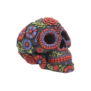 Skulls & Skeletons  Nemesis Now Wholesale Giftware