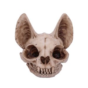 Animal Skulls | Nemesis Now Wholesale Giftware